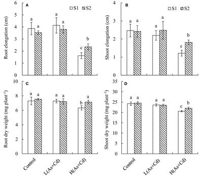 Sulfur reduces the root-to-shoot translocation of arsenic and cadmium by regulating their vacuolar sequestration in wheat (Triticum aestivum L.)